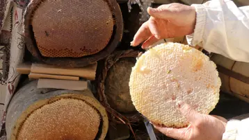 51 yaşında Ata toprağında 2,5 ton üretiyor: Ailesiyle yalnız yaşadığı köyde yapıyor