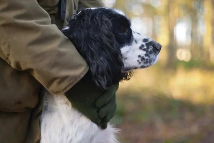 Vahşi yaşamdan çarpıcı kareler 32