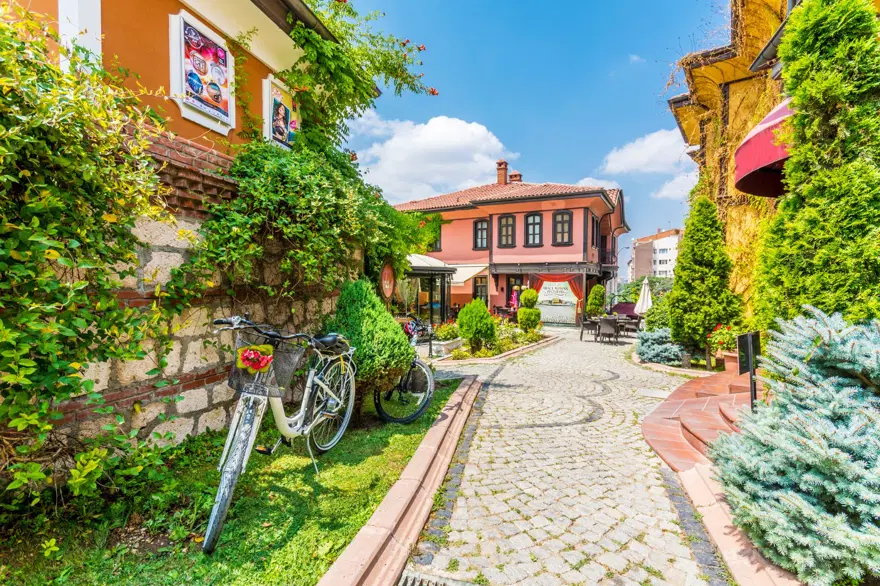 Odunpazarı Evleri 1