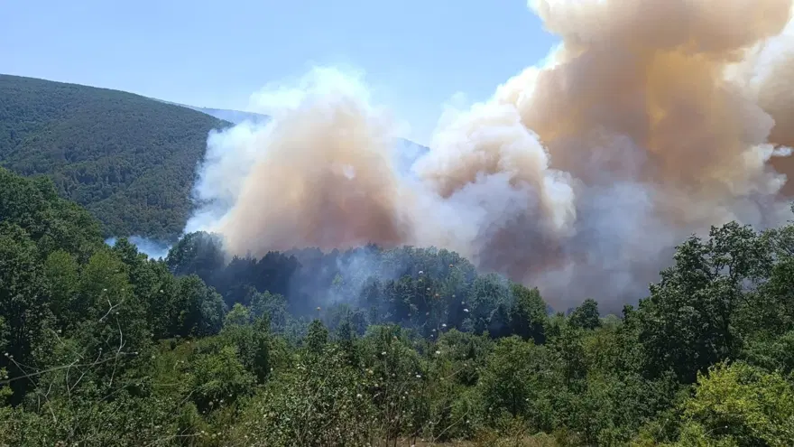 Orman yangınlarında son durum: Bazı evler küle döndü 