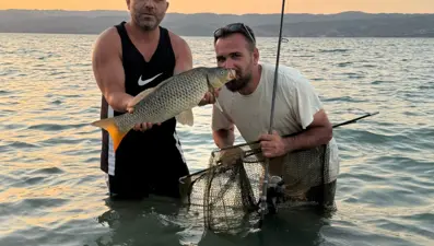 13 kilo sazan yakaladı: Öpüp suya geri saldı