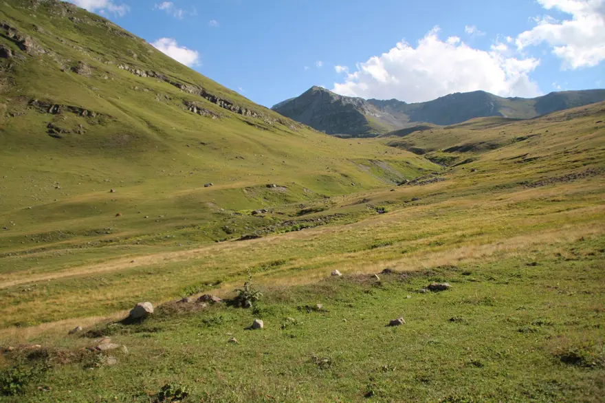 Anzer balında küçükbaş tehdidi 