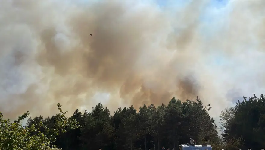 Sakarya'da orman yangını: Ekipler olay terinde 2