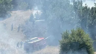 Kastamonu'da anız yangını ormana sıçradı; 10 hektar alan zarar gördü