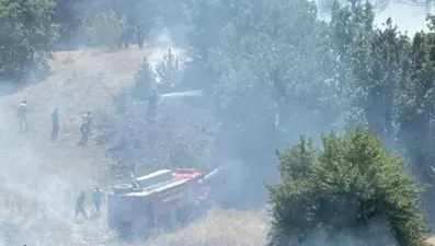 Kastamonu'da anız yangını ormana sıçradı; 10 hektar alan zarar gördü
