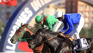 Veliefendi'nin yeni şampiyonu: Waneta (Tek başına 4 erkeği devirdi)