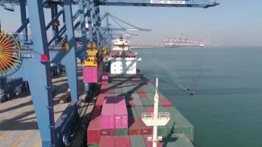 Çin'de Suudi Arabistan'dan ithal edilen karides ambalajında Covid-19'a rastlandı