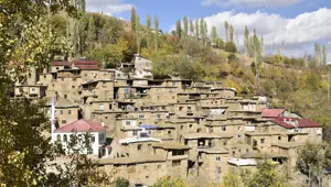 Bitlis'te 300 yıllık taş yapıların korunması için çalışma başlatılacak