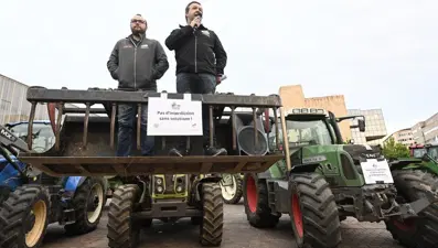 Fransa'da tartışmalı pestisit yasasına fren!