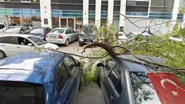 Kayseri'de dalları kıran fırtına