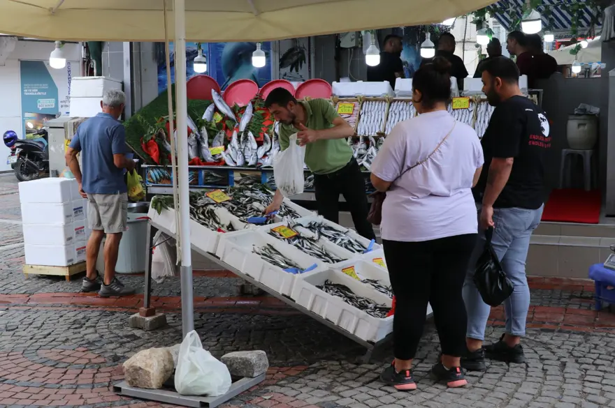 Balık tezgahlarında hamsi bolluğu 1