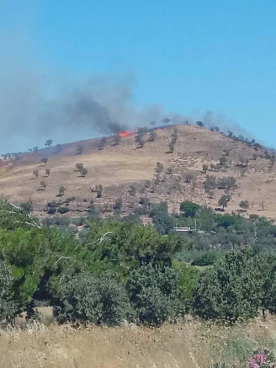 Çanakkale'de makilik alanda korkutan yangın 1 Çanakkale'de makilik alanda korkutan yangın 1