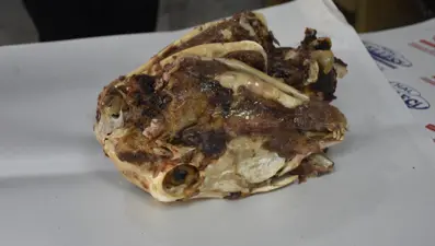 Sivas'ın 2 asırlık geleneği: İftar ve sahurun vazgeçilmezi, 6 çeşit tat var