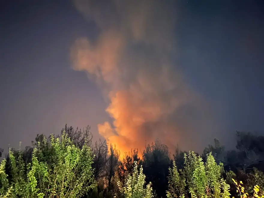 İzmir ve Balıkesir'de orman yangını: Bazı evler tahliye edildi 7 İzmir ve Balıkesir'de orman yangını: Bazı evler tahliye edildi 7