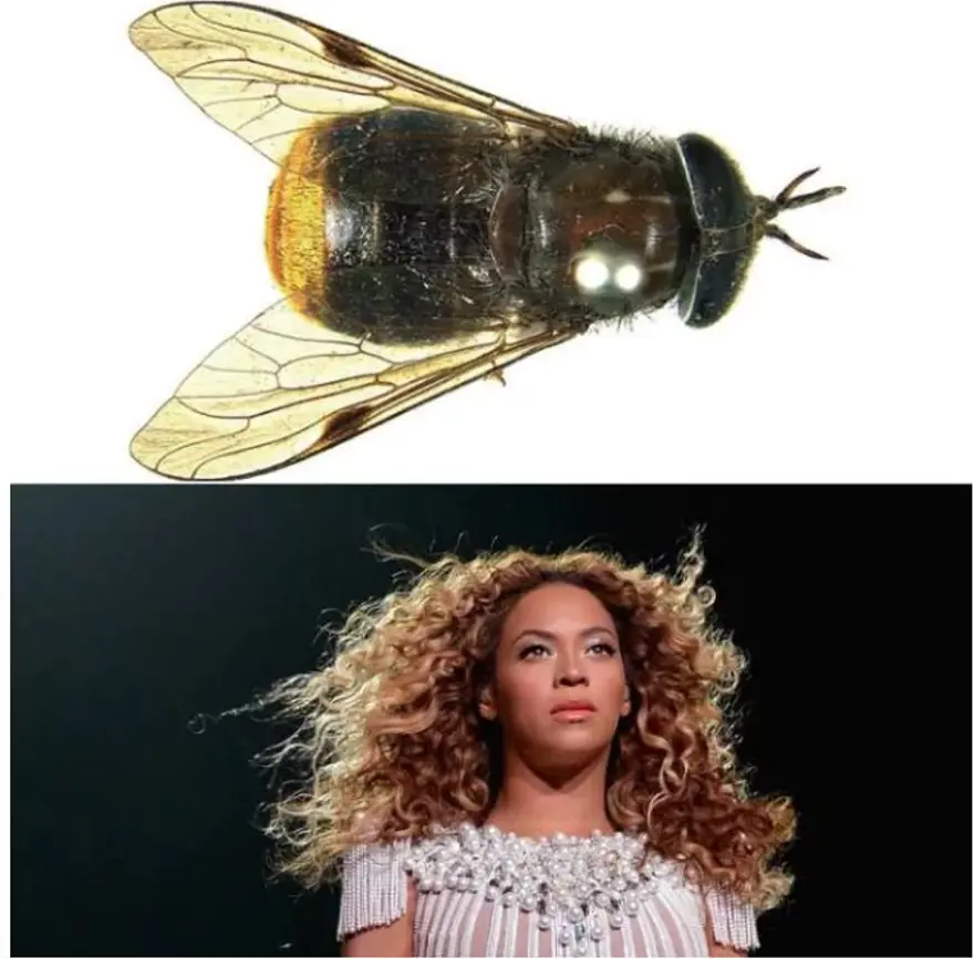 Ünlülerin adı verilen yeni türler 2 Ünlülerin adı verilen yeni türler 2