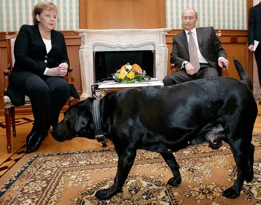 PUTİN'İN GÜÇ OYUNLARI VE MERKEL'iN KÖPEK KORKUSU 3