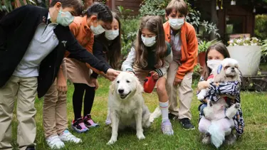 “Bir Kap Mutluluk” projesi ile ormanlara yuva yapmış sokak hayvanlarına yardım kampanyası