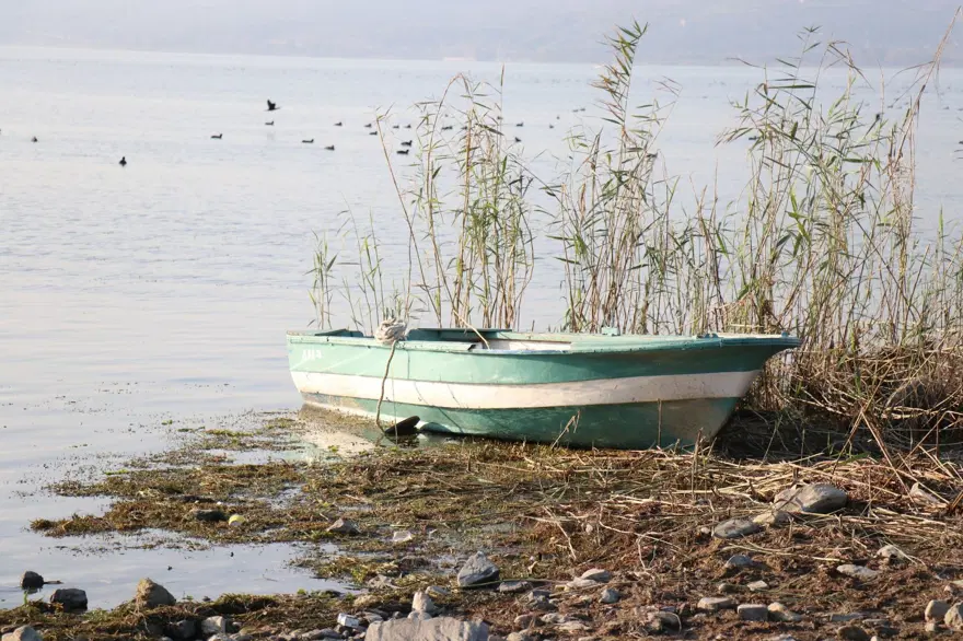 "CANLILAR DA YOK OLACAK" 7 "CANLILAR DA YOK OLACAK" 7