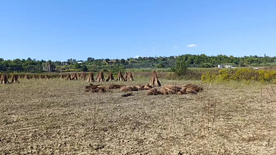 Altın Susam'a hırsız dadandı: Motosikletle gelip çalmışlar 2