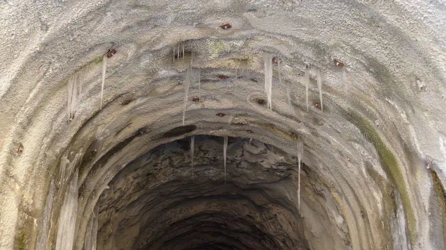 Artvin'deki bu tünelden geçmek yürek ister: Gece saatlerinde daha korkutucu oluyor 4