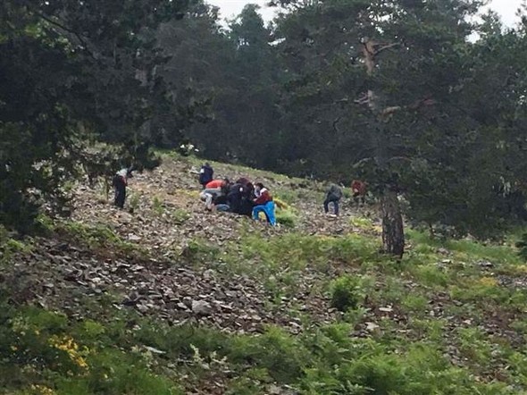 Giresun'da kaza bölgesinden ilk fotoğraflar