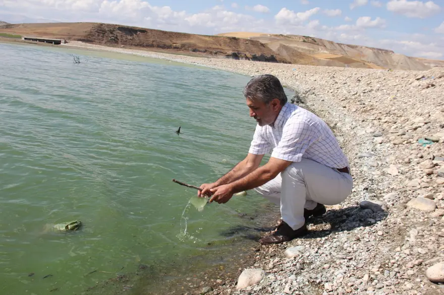 Baraj suyunun rengi yeşile döndü (İşte nedeni) 2