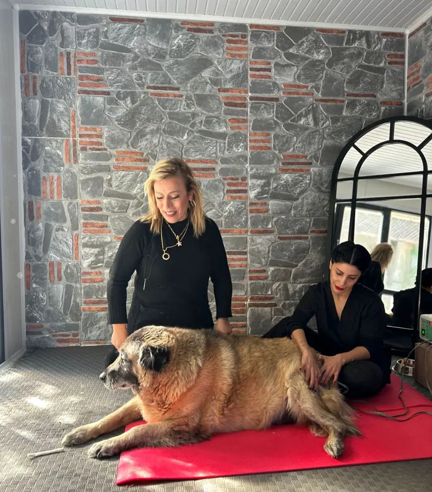 ''ŞU AN 45 KİLOYA DÜŞTÜ'' 2 ''ŞU AN 45 KİLOYA DÜŞTÜ'' 2