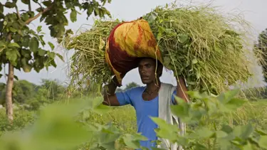 30 dakikada bir çiftçi nasıl ölür?