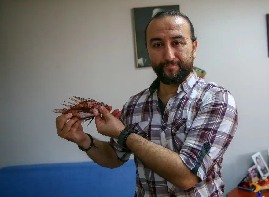 Aslan Balığı Kuzey Ege'ye çıktı 4