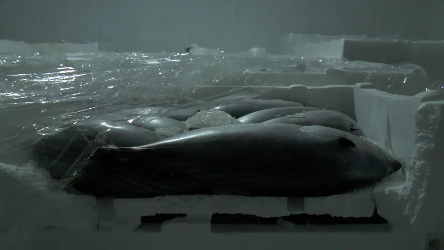 Denizi olmayan ilden dünyaya satılıyor! Rusya ve Avrupa da bizden alıyor 1