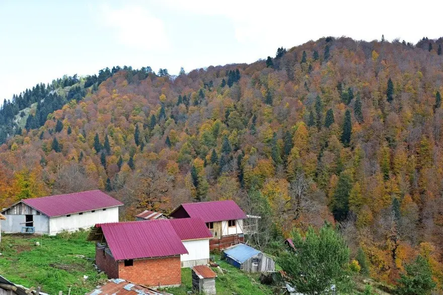 yedigöller milli parkı, sonbahar, Gölcük Tabiat Parkı, doğa, Bolu, bolu gezilecek yerler 16 yedigöller milli parkı, sonbahar, Gölcük Tabiat Parkı, doğa, Bolu, bolu gezilecek yerler 16
