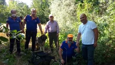 Kuyuya düşen köpeği AFAD ekipleri kurtardı