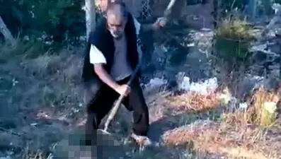 Ankara’dakan donduran vahşet: Yavru köpeği dirgenle öldürdü