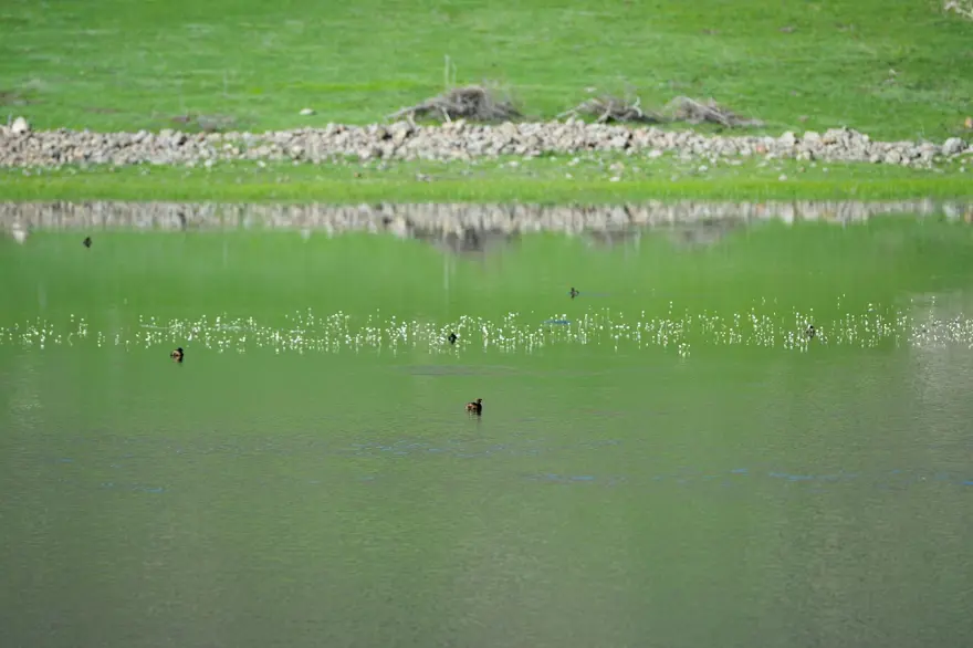 Sülüklü Göl'de ilkbahar renkleri 13