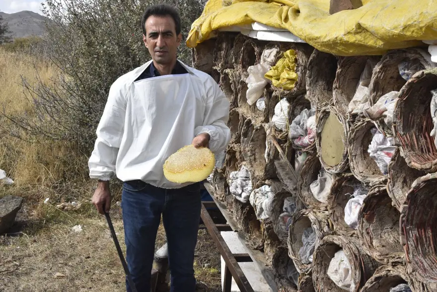 Ünü dünyanın dilinde, hasadı başladı: Türkiye'de ilk sırada 