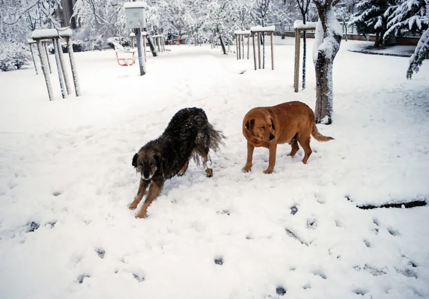 İstanbul'da kar 20