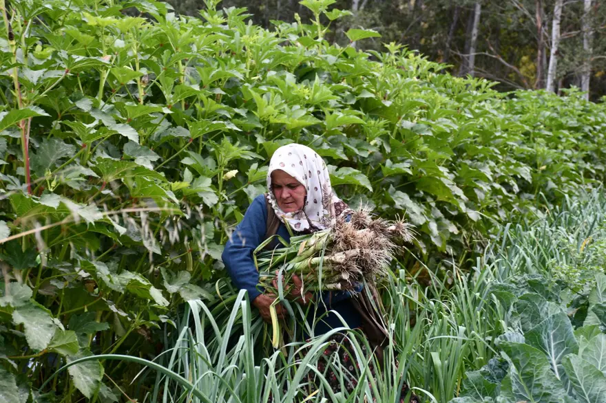 10 dönüm arazide tek başına 14 çeşit yetiştiriyor: İlçede siparişlere yetişemiyor 6