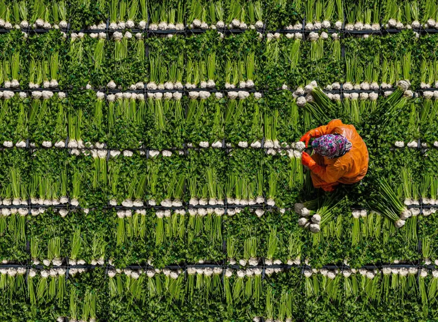 “Haydi! Yeşil Gelecekler” fotoğraf yarışmasının ödülleri açıklandı 4 “Haydi! Yeşil Gelecekler” fotoğraf yarışmasının ödülleri açıklandı 4