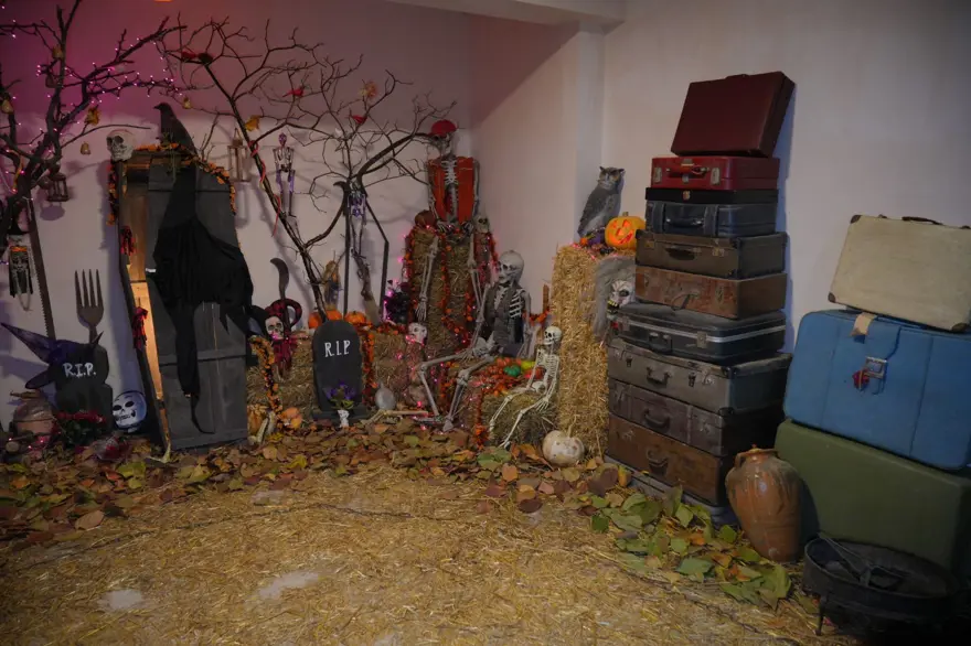 Bu evi görenler film platosu sanıyor: Hepsi aile yadigarı 10