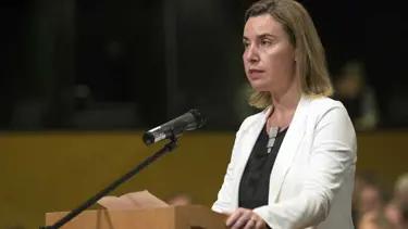 AB’den ‘14 Aralık’ tepkisi