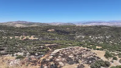 Diyarbakır'daki orman yangını kontrol altında