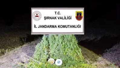 Şırnak'ta kaçakçılık operasyonları: Bir haftada 44 kişi yakalandı