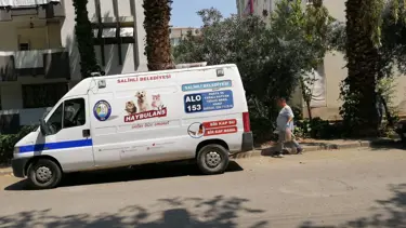 Manisa’da kedi ve köpek katliamı: 15 tanesi öldürüldü