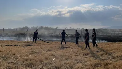 Merzifon'da tarım arazisi küle döndü