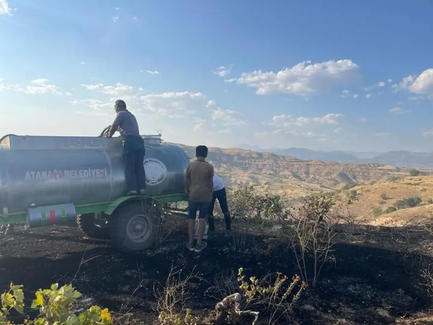 Üzüm bağını küle çeviren yangın 2