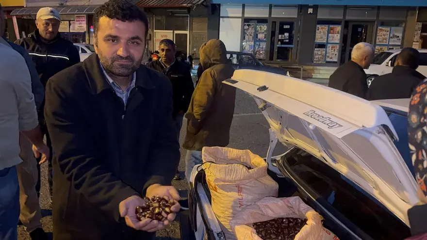 Fiyatı 200 ila 500 lira arasında: "Alaplı kuzusu" alıcıların gözdesi oldu 3