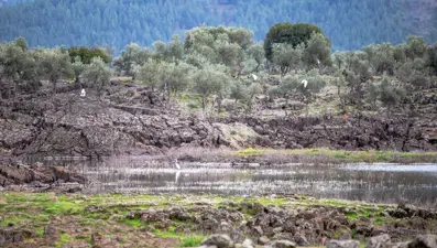 Hatay'da volkanik Haydarlar Gölü göçmen kuşlara ev sahipliği yapıyor