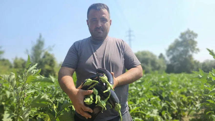 Baba mesleğini bıraktı: 25 yıldır toprağa emek veriyor 1
