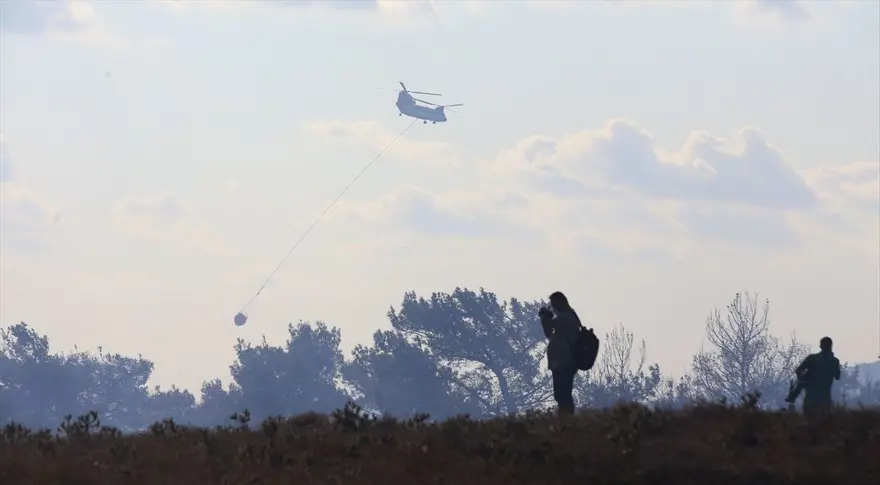 Çanakkale'deki orman yangını kontrol altına alındı 12