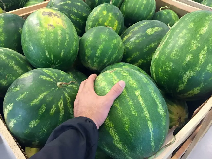 Sıcak havada zorlu mesai: Ev ekonomisine katkı sağlıyorlar 2 Sıcak havada zorlu mesai: Ev ekonomisine katkı sağlıyorlar 2